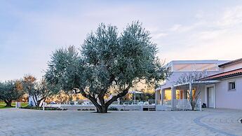 La Perla tra gli Ulivi 12