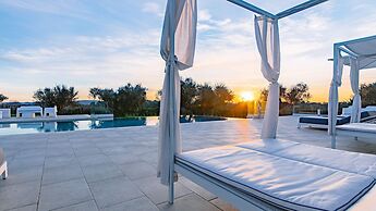 La Perla tra gli Ulivi 12