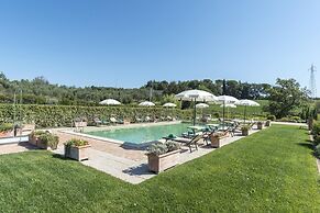 Pg-c309-cadl0at - Poderina dei Poggi 16