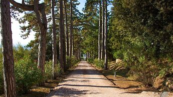 Pg-g212-dtor0at - Torre di Paciano 10 2