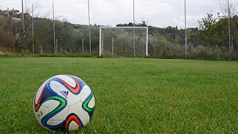 Pg-c744-svbo0at - Terra San Raffaele 10 3