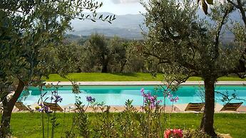 Pg-c744-svbo0at - Terra San Raffaele 10 3