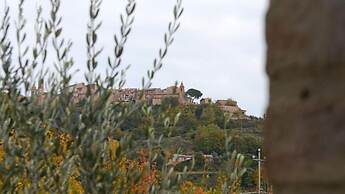 Pg-c744-svbo0at - Terra San Raffaele 10 3