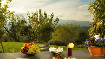 Pg-c744-svbo0at - Terra San Raffaele 10 3