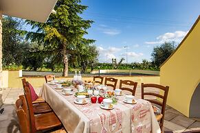 Li-c415-vipo0at - Il Nocciolo 12