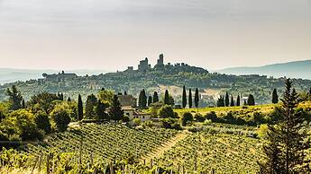 Si-g752-sdto0at - Tenuta di Macericca 10