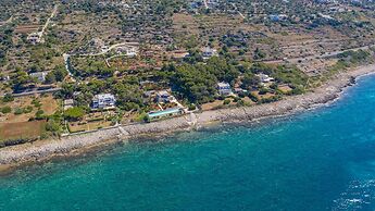 Le-g378-sp910at - Tenuta Scialandre 8