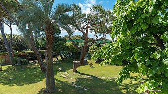 Ms-f023-manz11at - Il Renzito 8