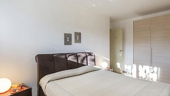 Ms-f023-manz11at - Il Renzito 8