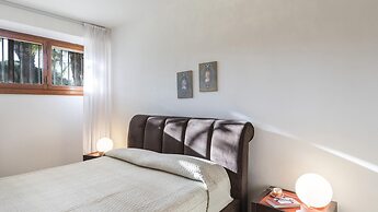 Ms-f023-manz11at - Il Renzito 8