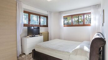 Ms-f023-manz11at - Il Renzito 8