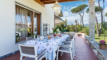 Ms-f023-manz11at - Il Renzito 8