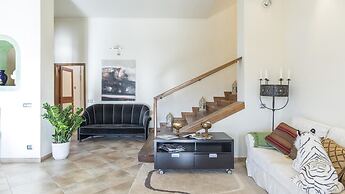 Ms-f023-manz11at - Il Renzito 8