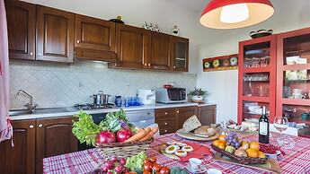 Ms-f023-manz11at - Il Renzito 8