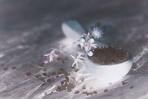 7Pines Resort Sardinia-A Destination By Hyatt