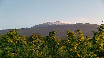 Villa Terre Normanne 13