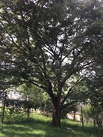 Pousada Vale das Primaveras