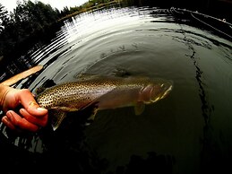 The Cabin at Moon Dance