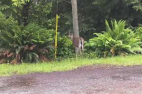 The Cabin at Moon Dance