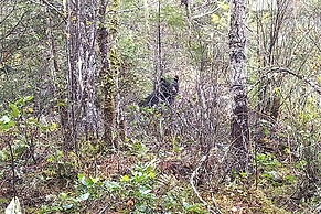 The Cabin at Moon Dance