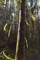 The Cabin at Moon Dance