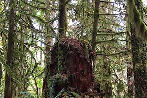 The Cabin at Moon Dance