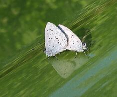 The Cabin at Moon Dance