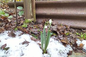 The Cabin at Moon Dance
