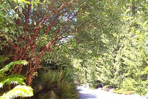 The Cabin at Moon Dance