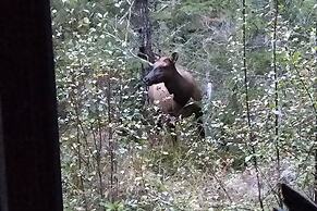 The Cabin at Moon Dance