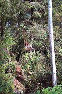 The Perch at Moon Dance