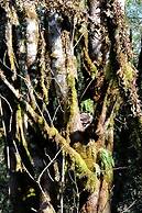 The Perch at Moon Dance