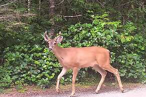 The Perch at Moon Dance