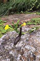 The Perch at Moon Dance