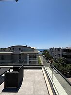 Z-Suites