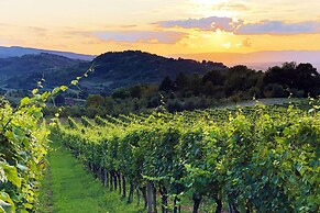 Rural Homestead Trenkovo