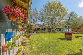 Rural Homestead Trenkovo