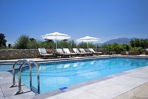 Private Polished Mansion w Private Pool Jacuzzi