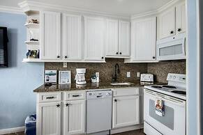 Seascape 1320 - Sea Turtle Nest