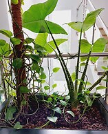 Hotel Costa Atlántica