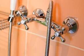 Happy Jackdaw in the Center of Split