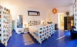 Happy Jackdaw in the Center of Split