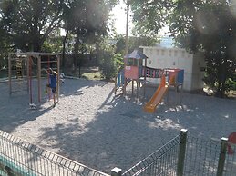 Happy Jackdaw in the Center of Split