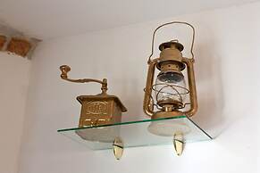 Happy Jackdaw in the Center of Split