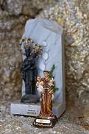 Happy Jackdaw in the Center of Split