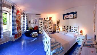 Happy Jackdaw in the Center of Split