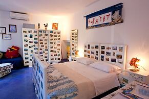 Happy Jackdaw in the Center of Split