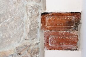 Happy Jackdaw in the Center of Split