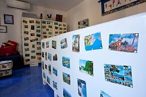 Happy Jackdaw in the Center of Split