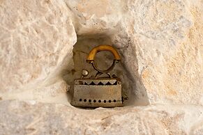 Happy Jackdaw in the Center of Split
